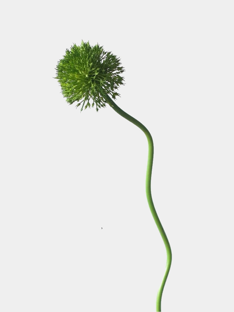 Faux allium stem in green