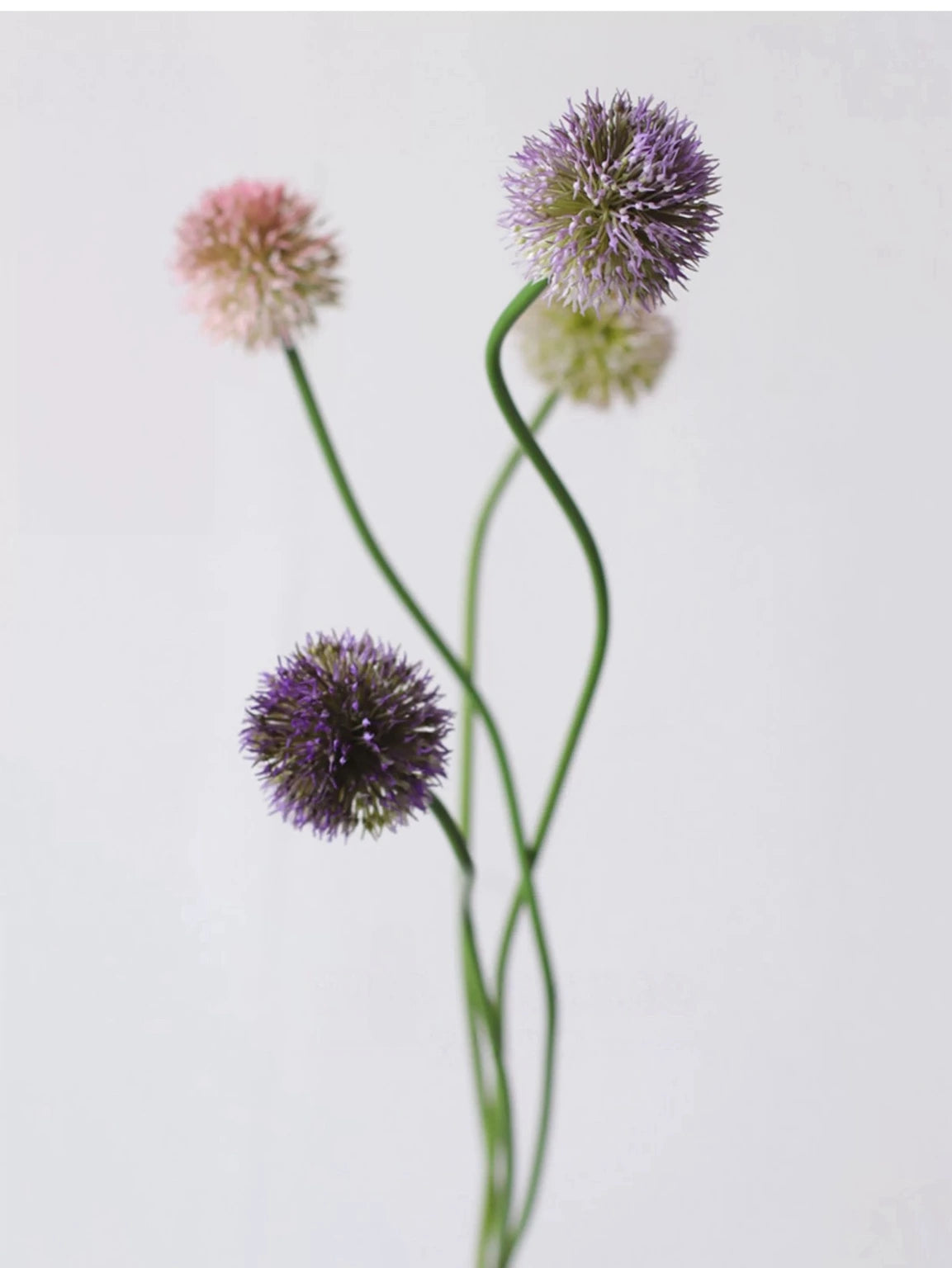 Mixed purple and pink faux allium stems