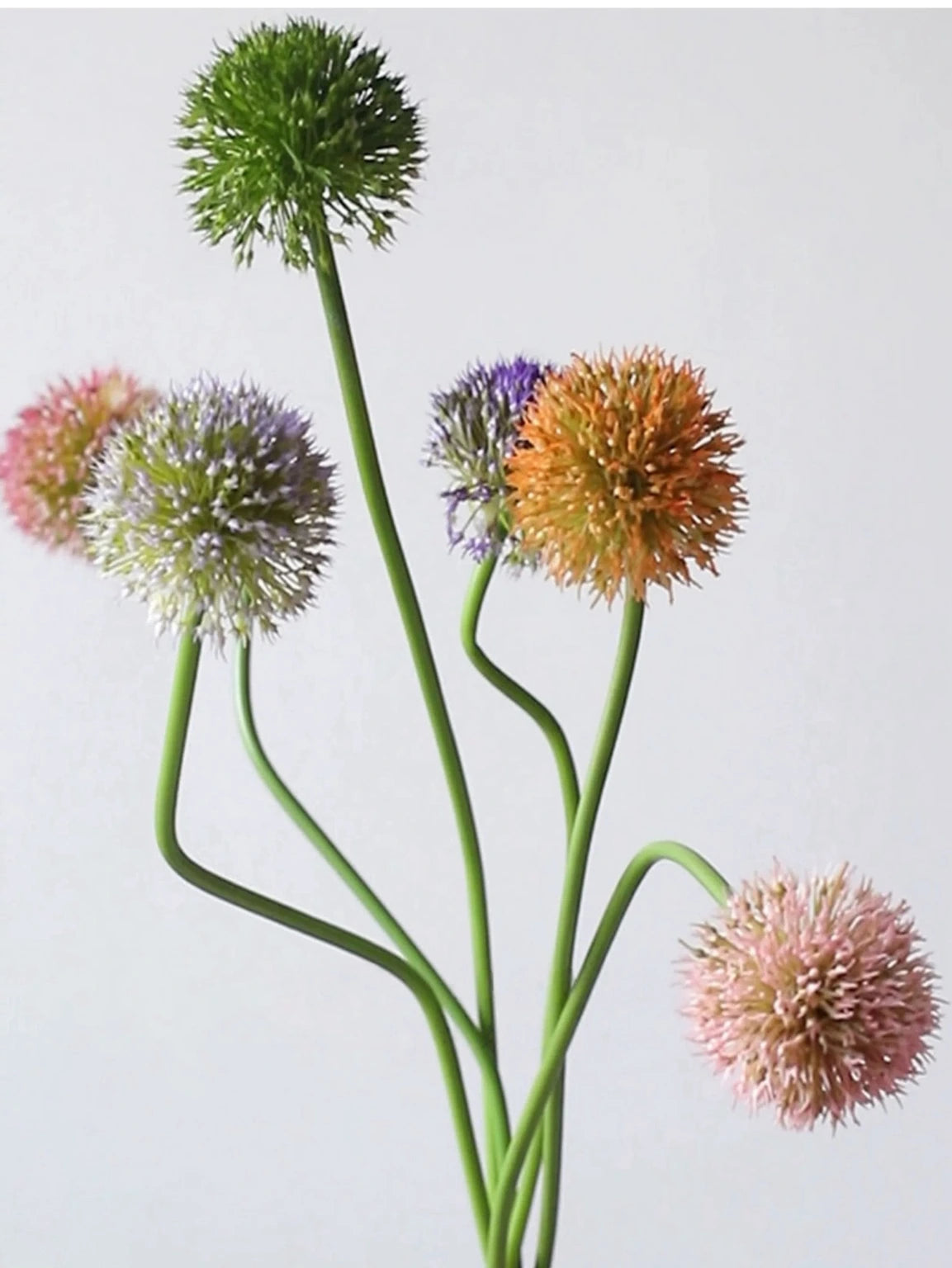 Assorted faux allium stems in green, orange, pink and purple