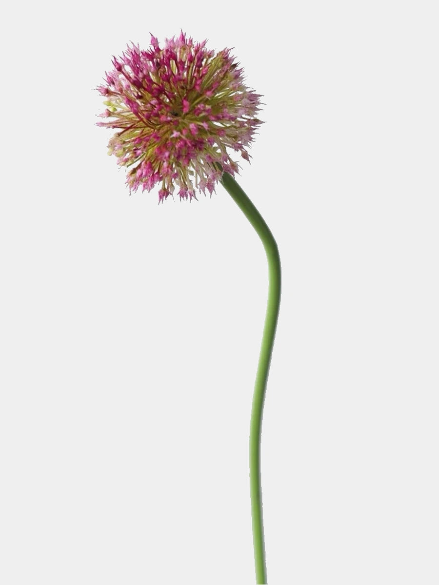 Faux allium stem in pink and green