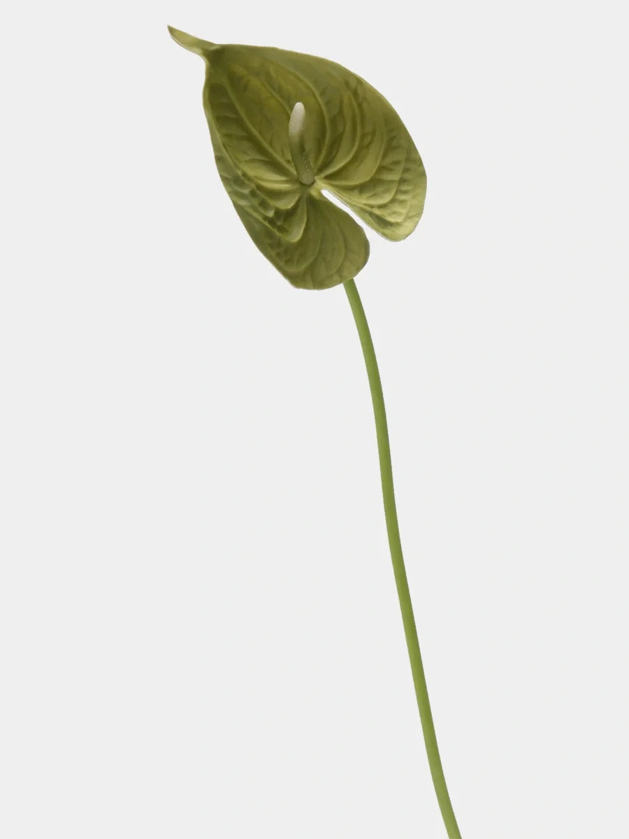Close view of the veined light green PU faux anthurium spathe