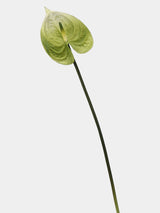 Faux anthurium green detail 5 – 60 cm