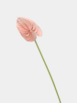 Faux anthurium pink main – 60 cm