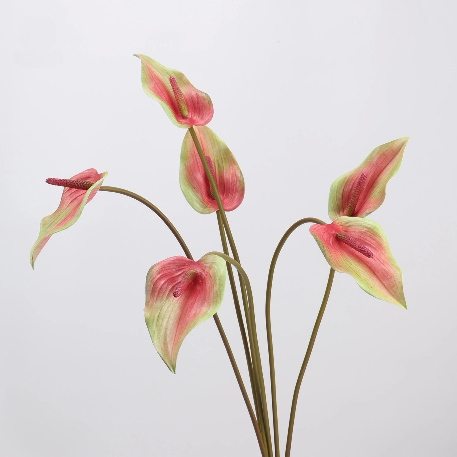 Green and pink faux anthurium stems grouped together
