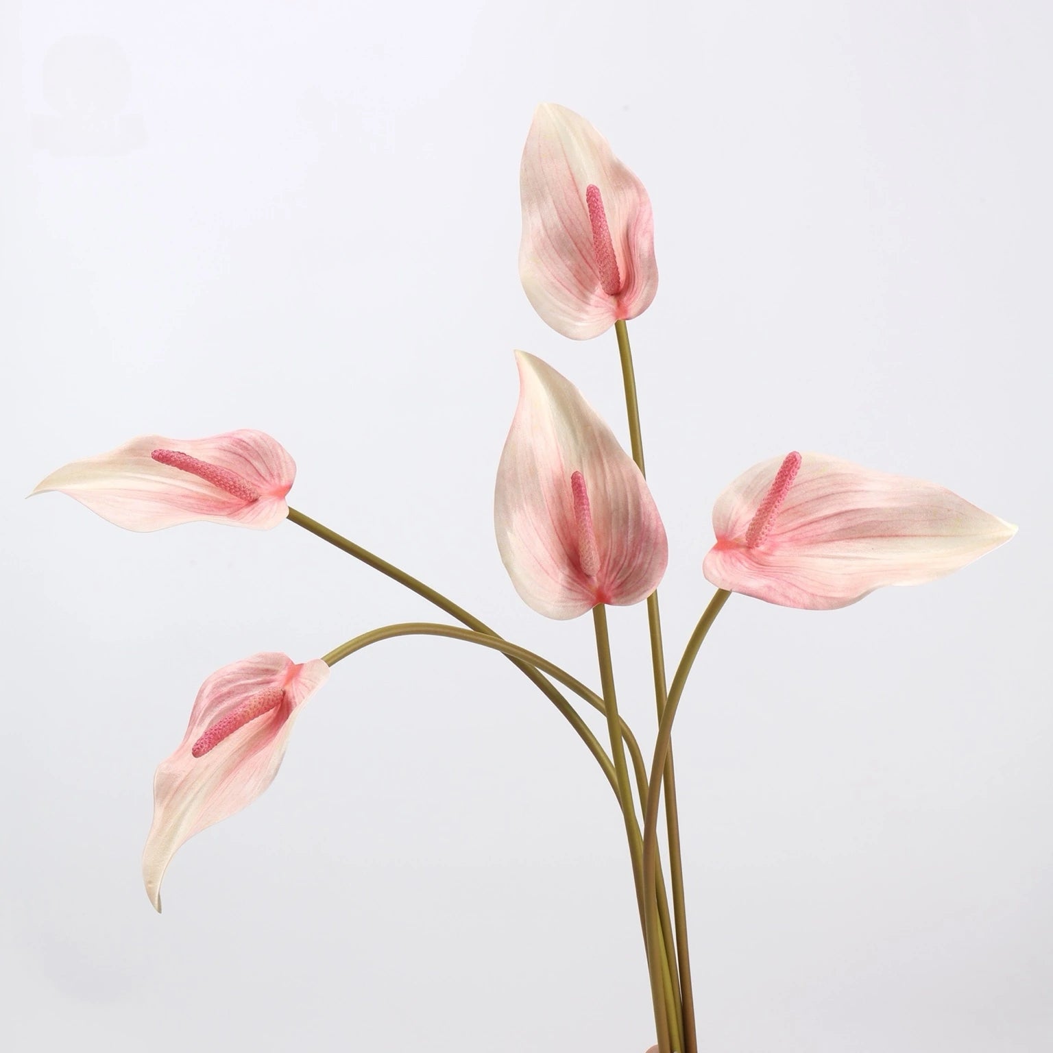 Light pink faux anthurium stems grouped together