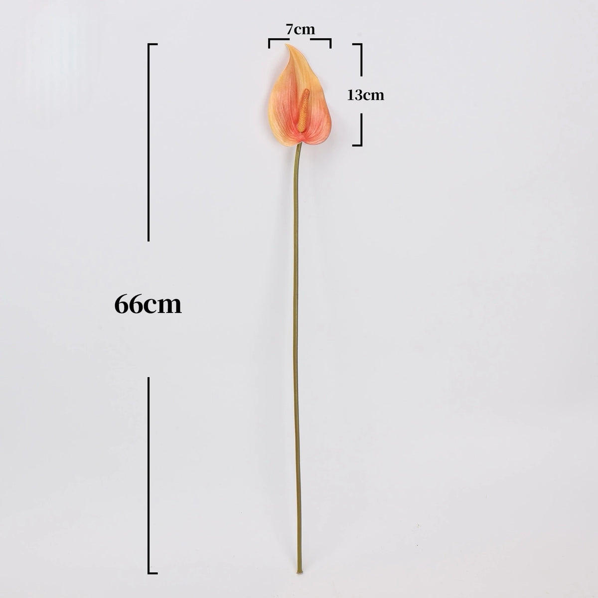 Faux anthurium stem size guide showing 66 cm height and 13 by 7 cm flower