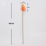Faux anthurium stem size guide showing 66 cm height and 13 by 7 cm flower