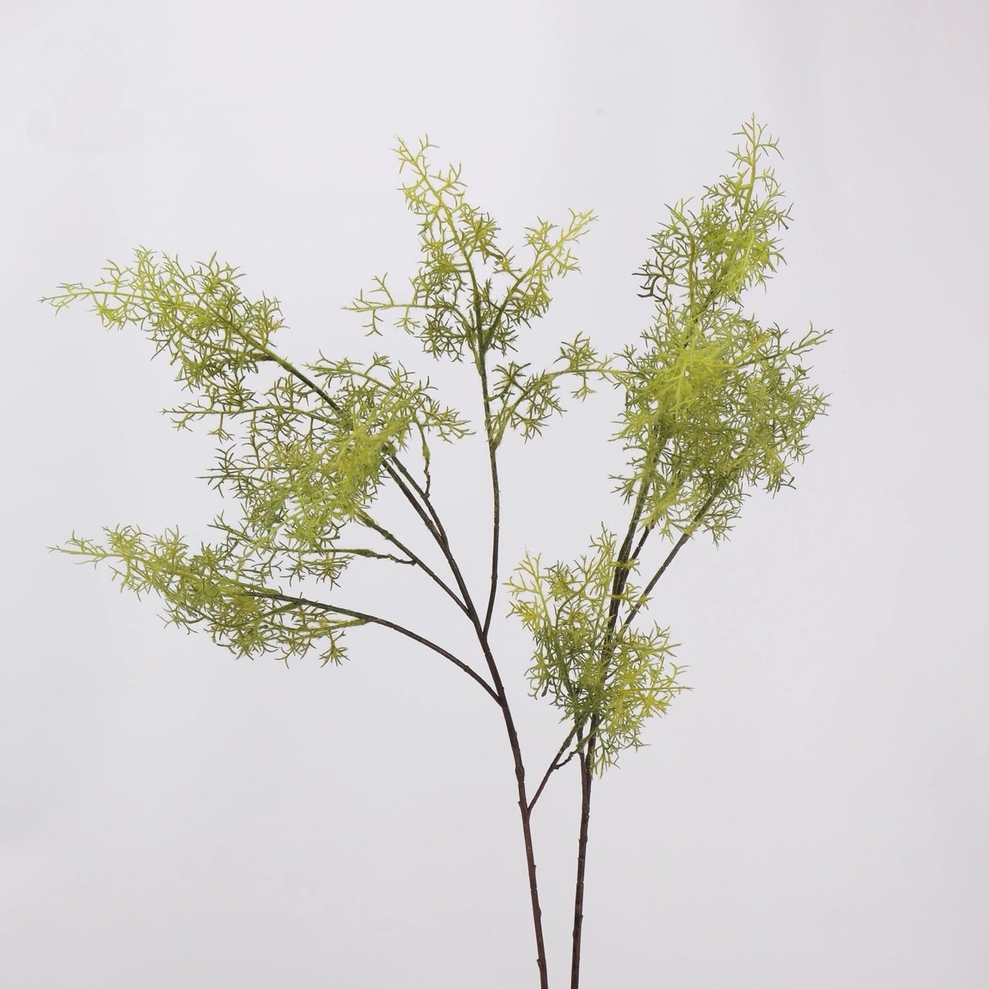 Green faux asparagus fern branches