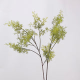 Green faux asparagus fern branches