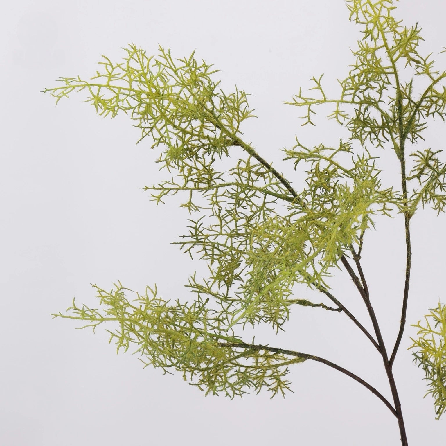 Green faux asparagus fern foliage detail