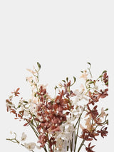 Autumn butterfly orchid mixed arrangement detail