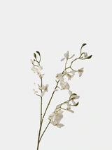 Creamy White faux autumn butterfly orchid stem, upright