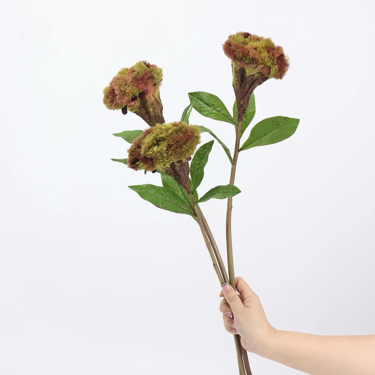 Autumn faux celosia stems held for scale