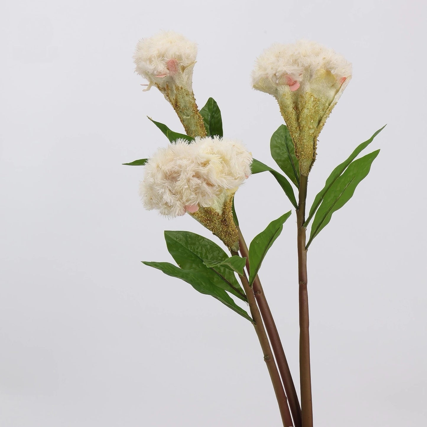 Cream faux celosia stems