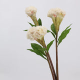 Cream faux celosia stems