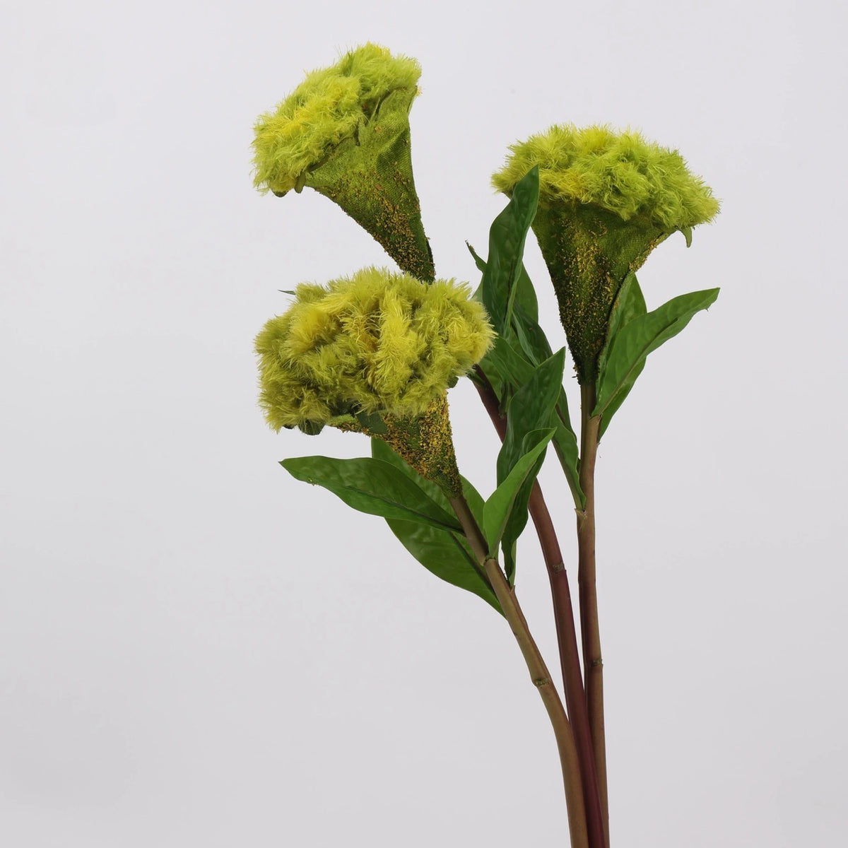 Green faux celosia stems