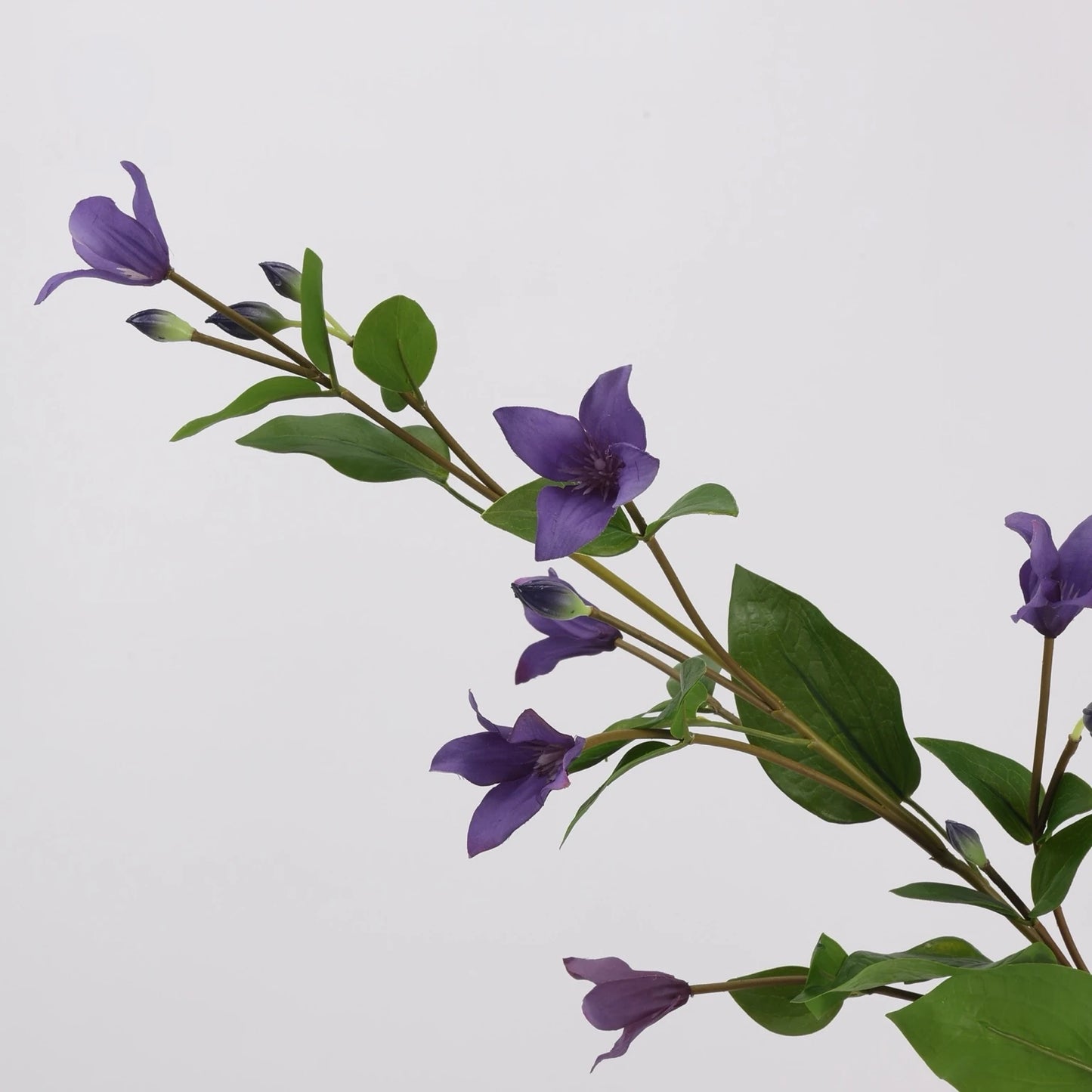 Close-up of purple faux clematis flowers and leaves