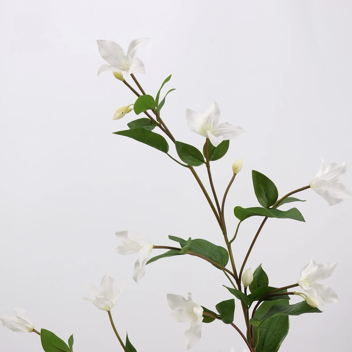 Close-up of white faux clematis flowers and leaves