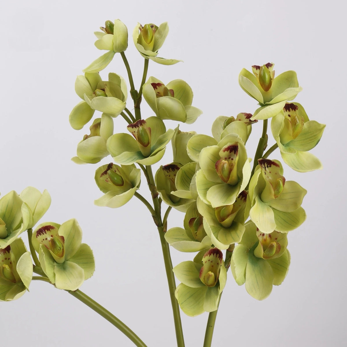 Green faux cymbidium orchid flower detail