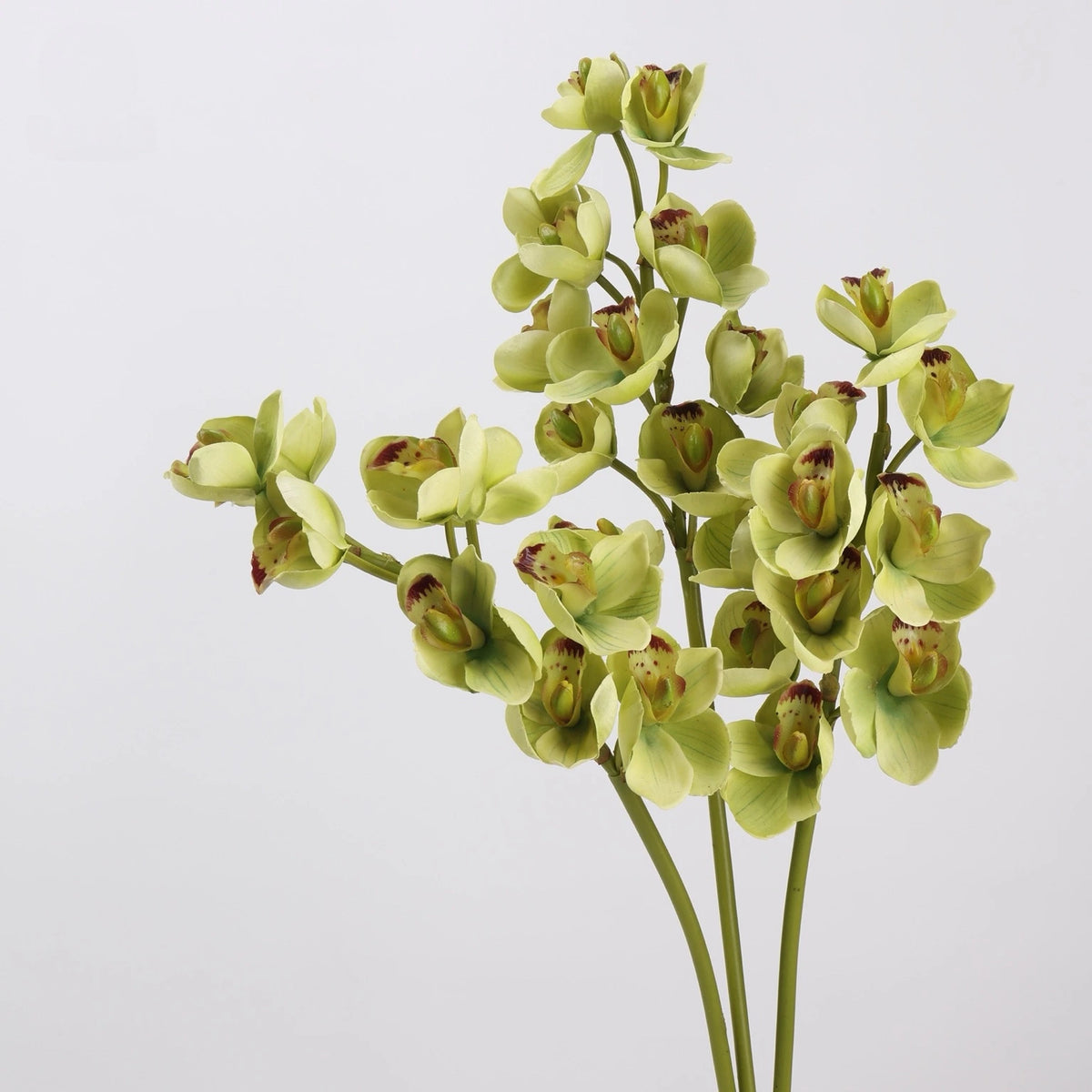 Green faux cymbidium orchid stems