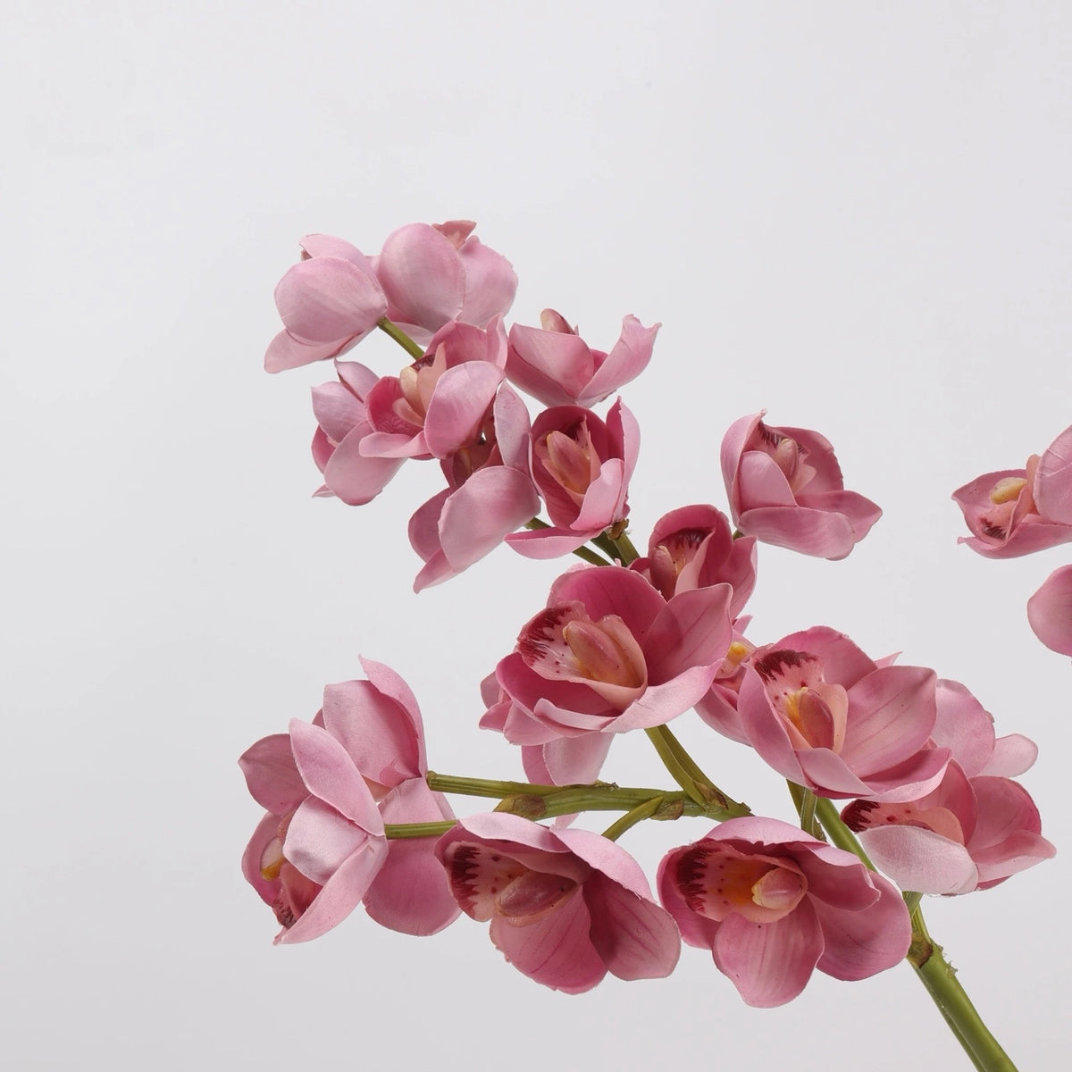 Pink faux cymbidium orchid stem detail