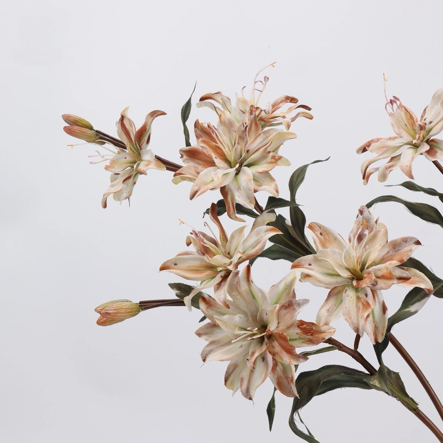 Cream faux double lily flower detail