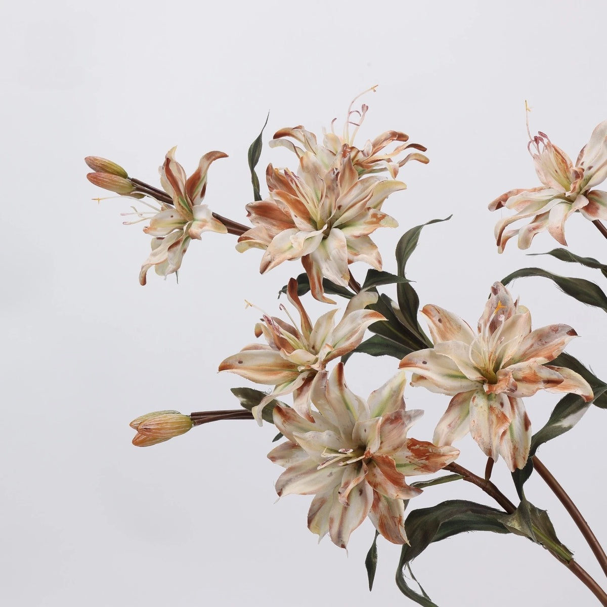 Cream faux double lily flower detail