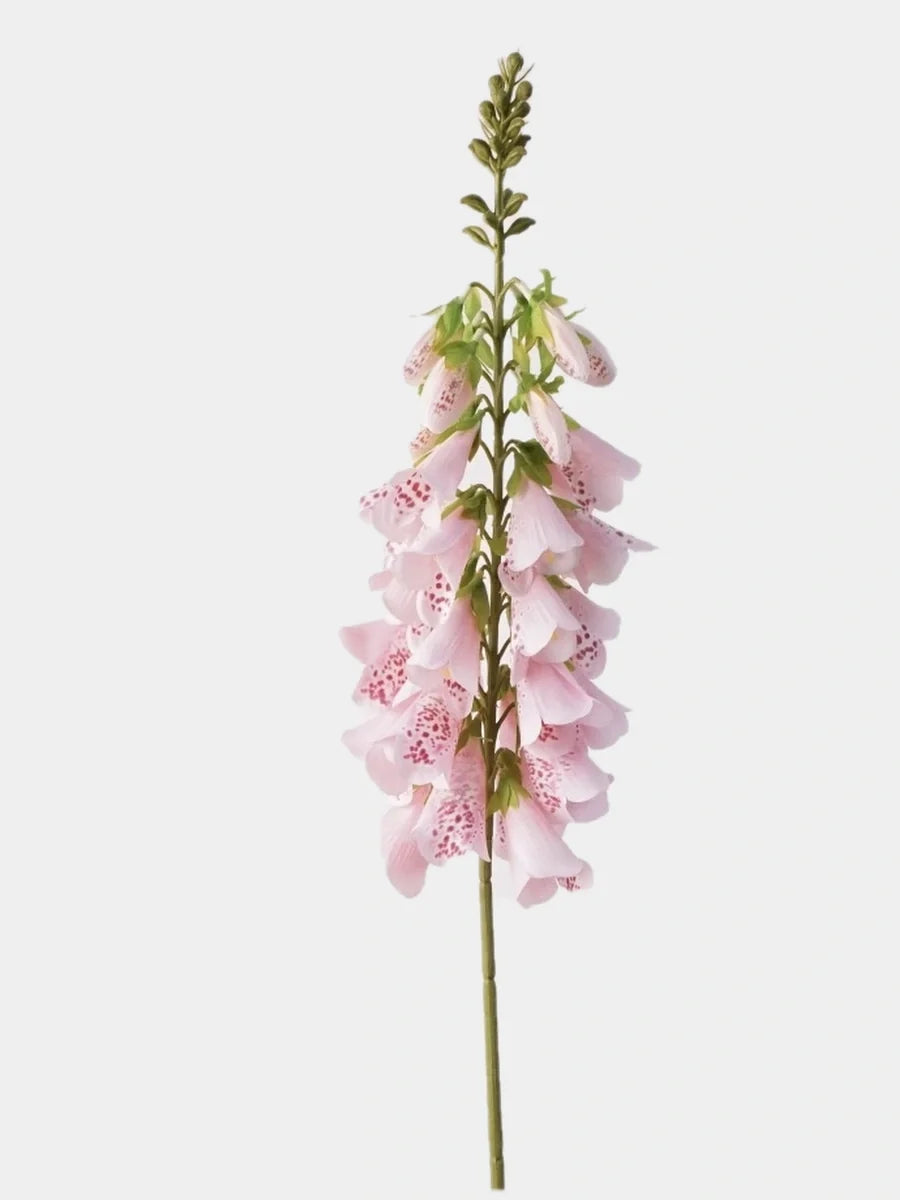Light pink faux foxglove flower stem on #EFEFEF background