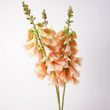 Group of peach faux foxglove flower stems