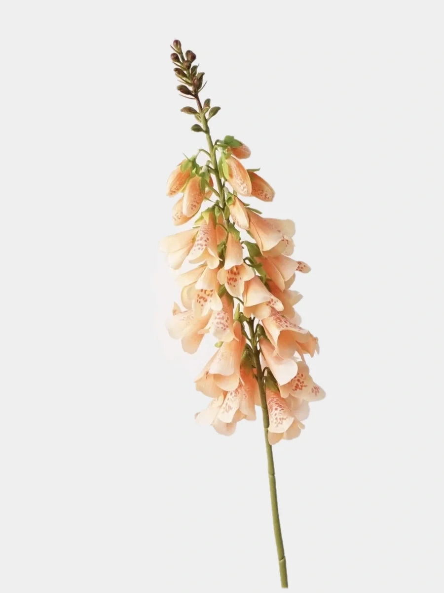 Peach faux foxglove flower stem on #EFEFEF background