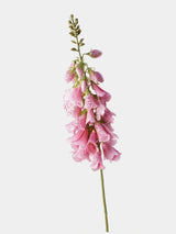 Pink faux foxglove flower stem on #EFEFEF background