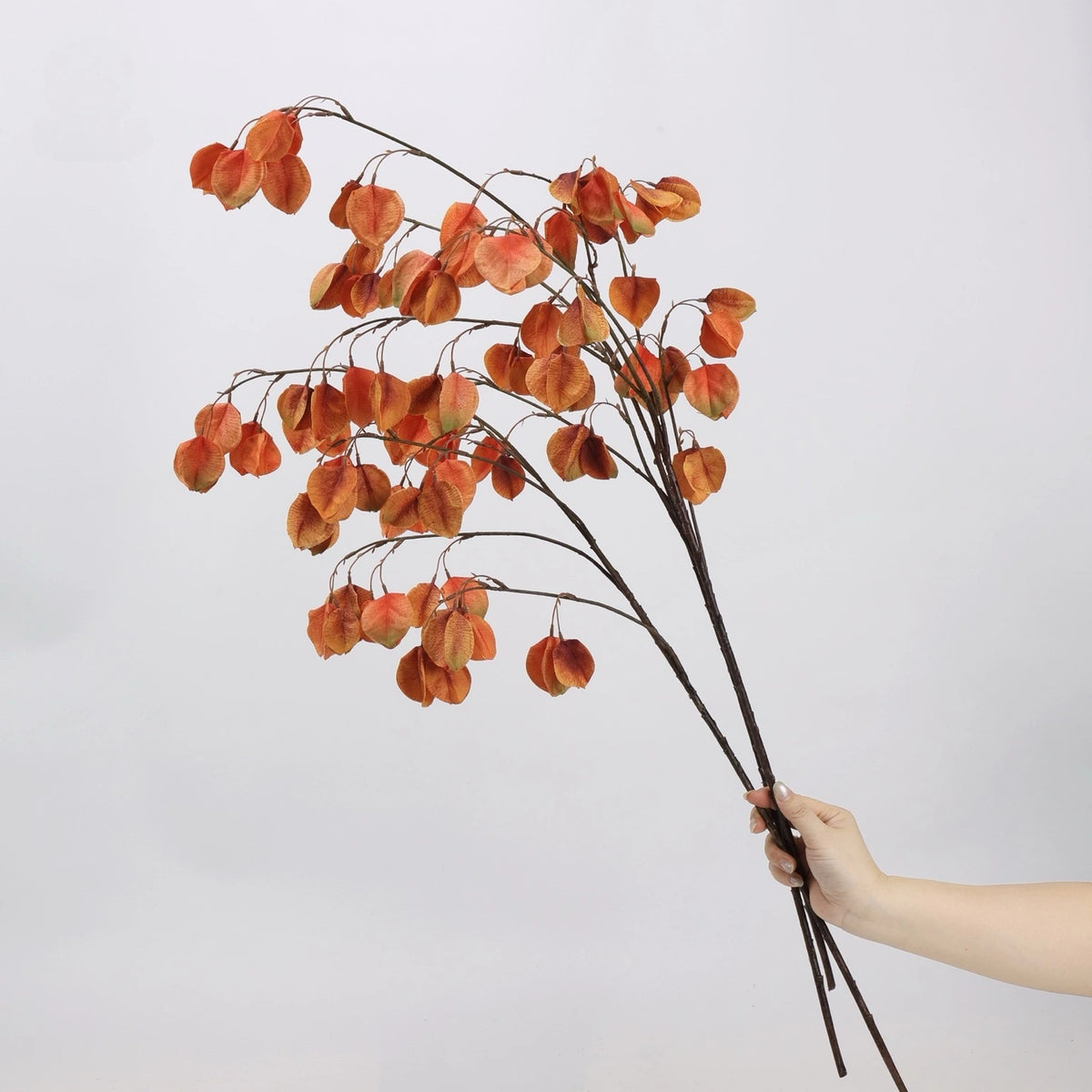 Orange faux lantern pod branches shown by hand