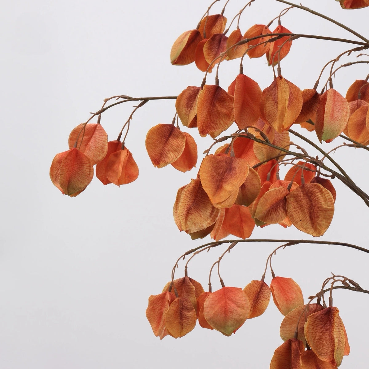 Orange faux lantern pod branch detail
