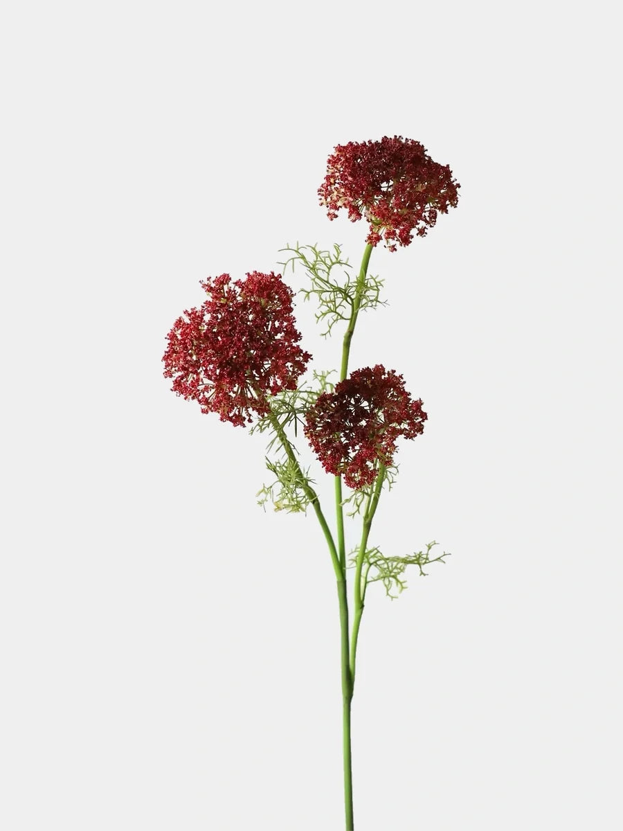 Faux large Ammi lace flower burgundy main