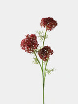 Faux large Ammi lace flower burgundy main