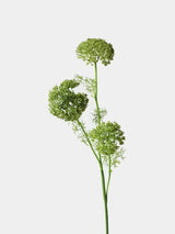 Faux large Ammi lace flower green main