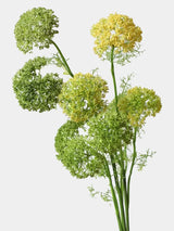 Faux large Ammi lace flower mixed yellow green