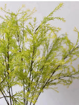 Close-up of the fine light green faux melaleuca foliage