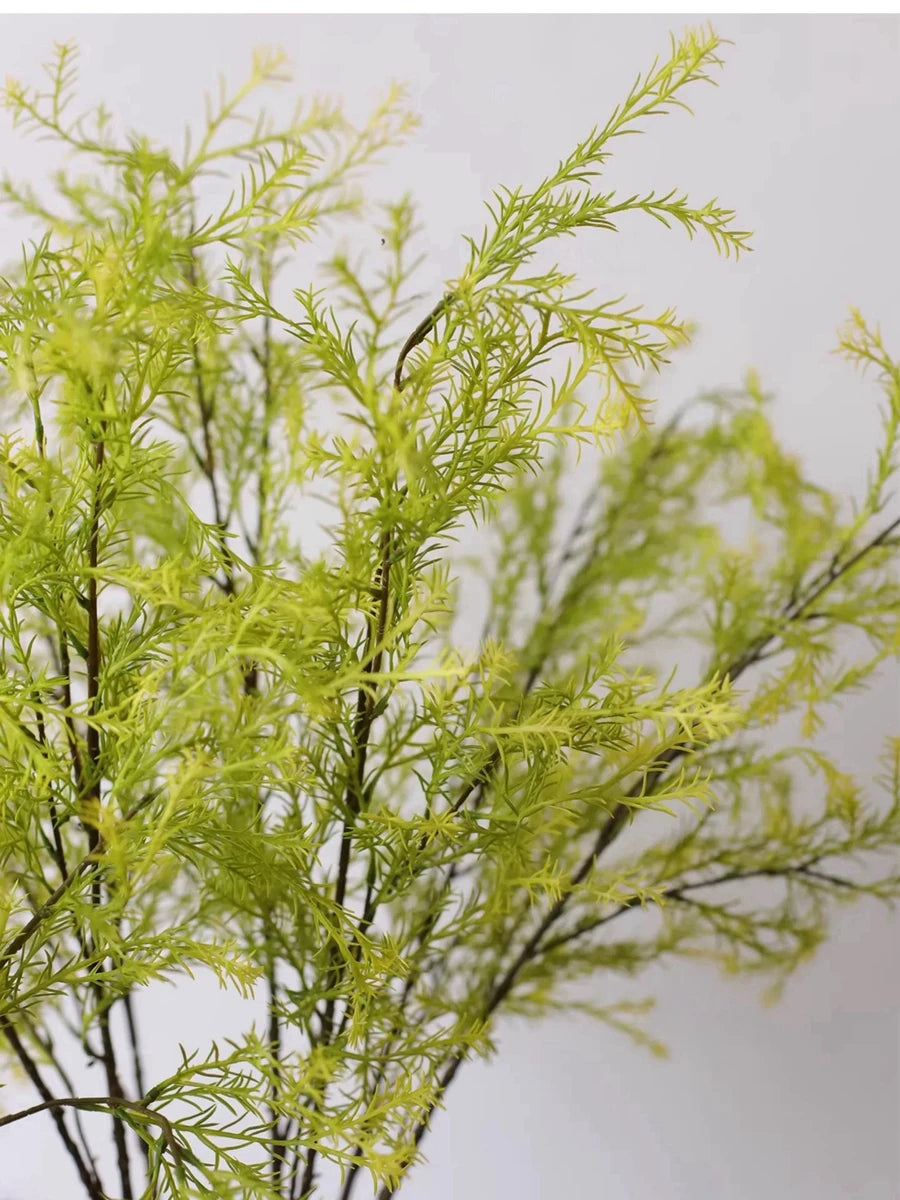 Close-up of the fine light green faux melaleuca foliage
