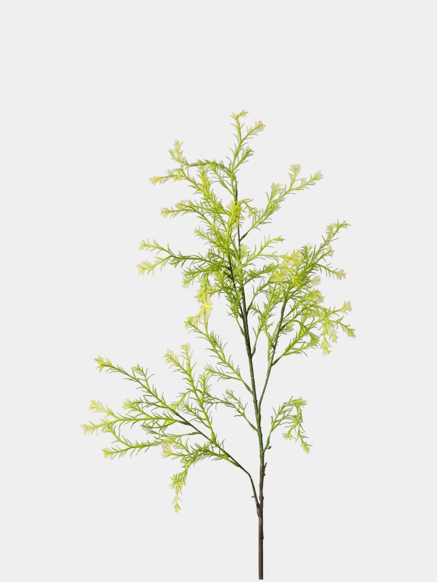 Light green faux melaleuca foliage stem