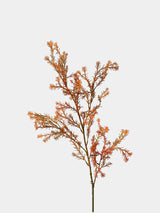 Orange faux melaleuca foliage stem