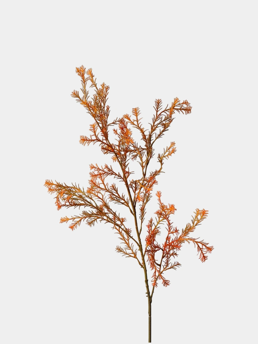 Orange faux melaleuca foliage stem