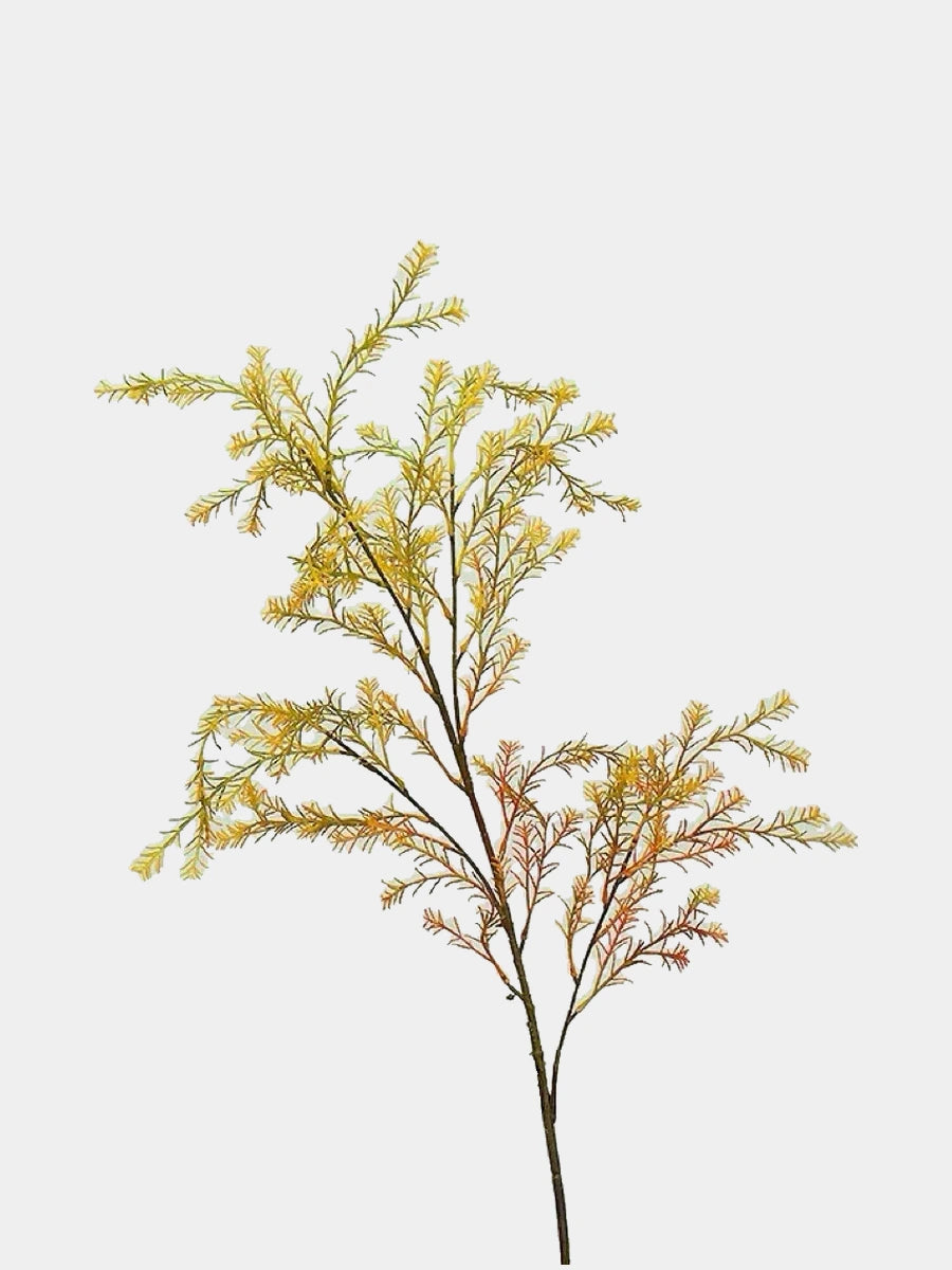 Yellow faux melaleuca foliage branch