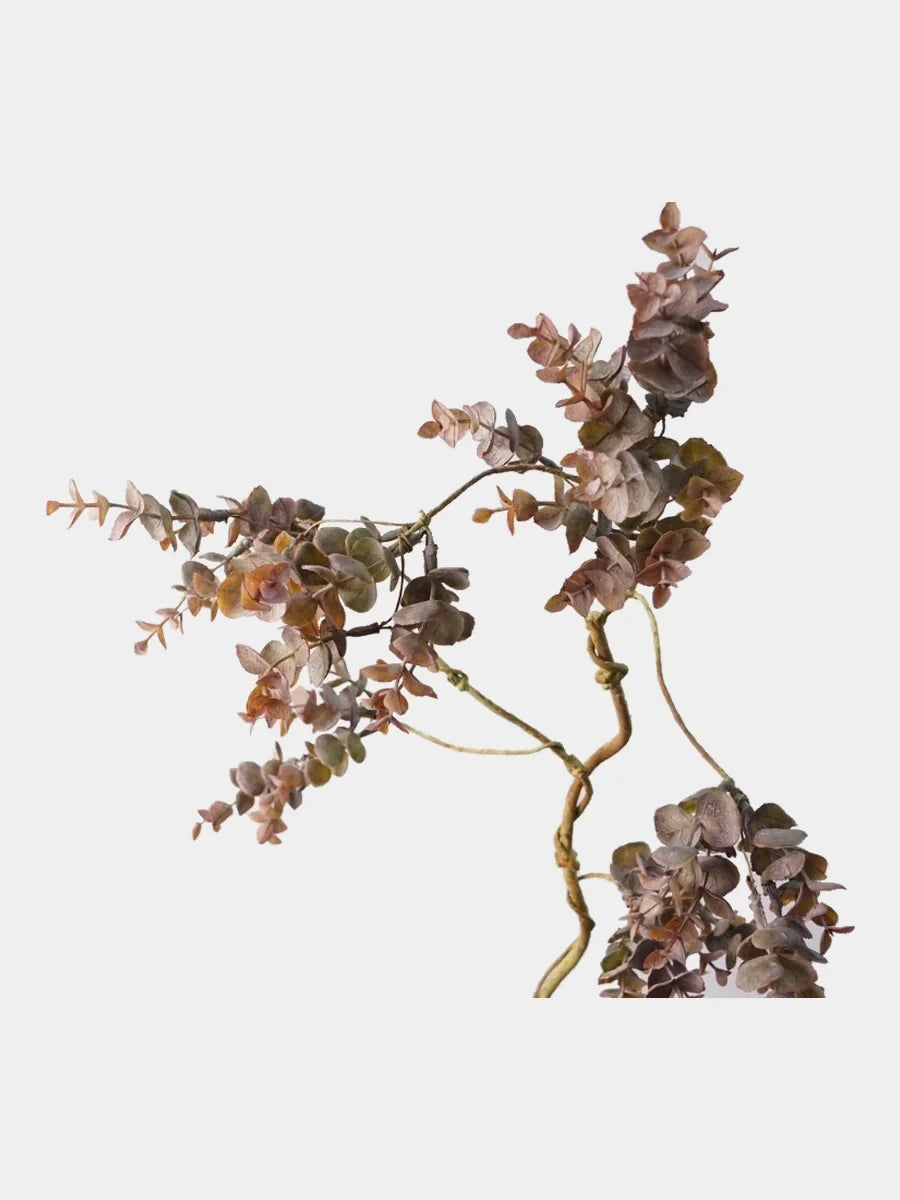 Faux money leaf vine foliage and twisting stem