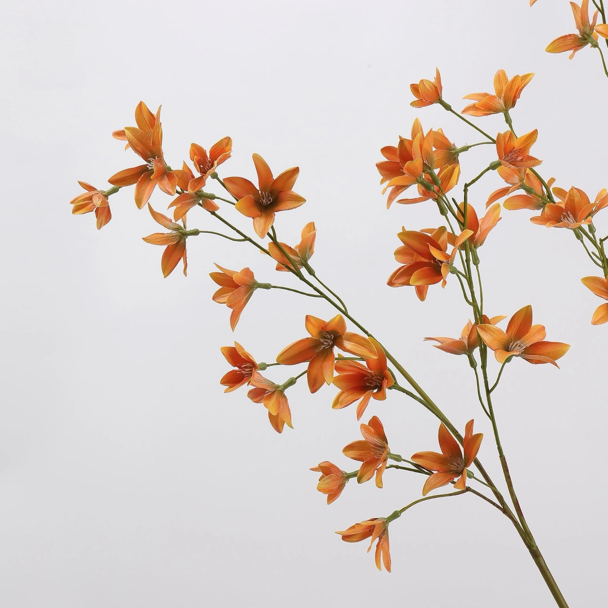 Orange faux flowering branch detail