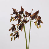 Brown speckled faux Paphiopedilum orchid stems
