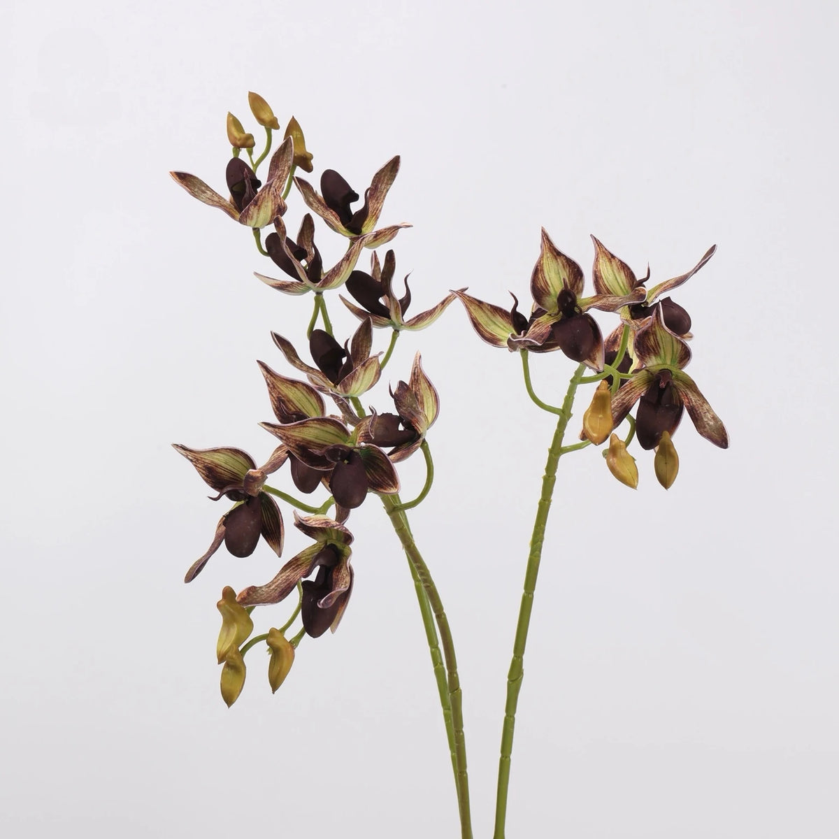 Deep burgundy faux Paphiopedilum orchid stems