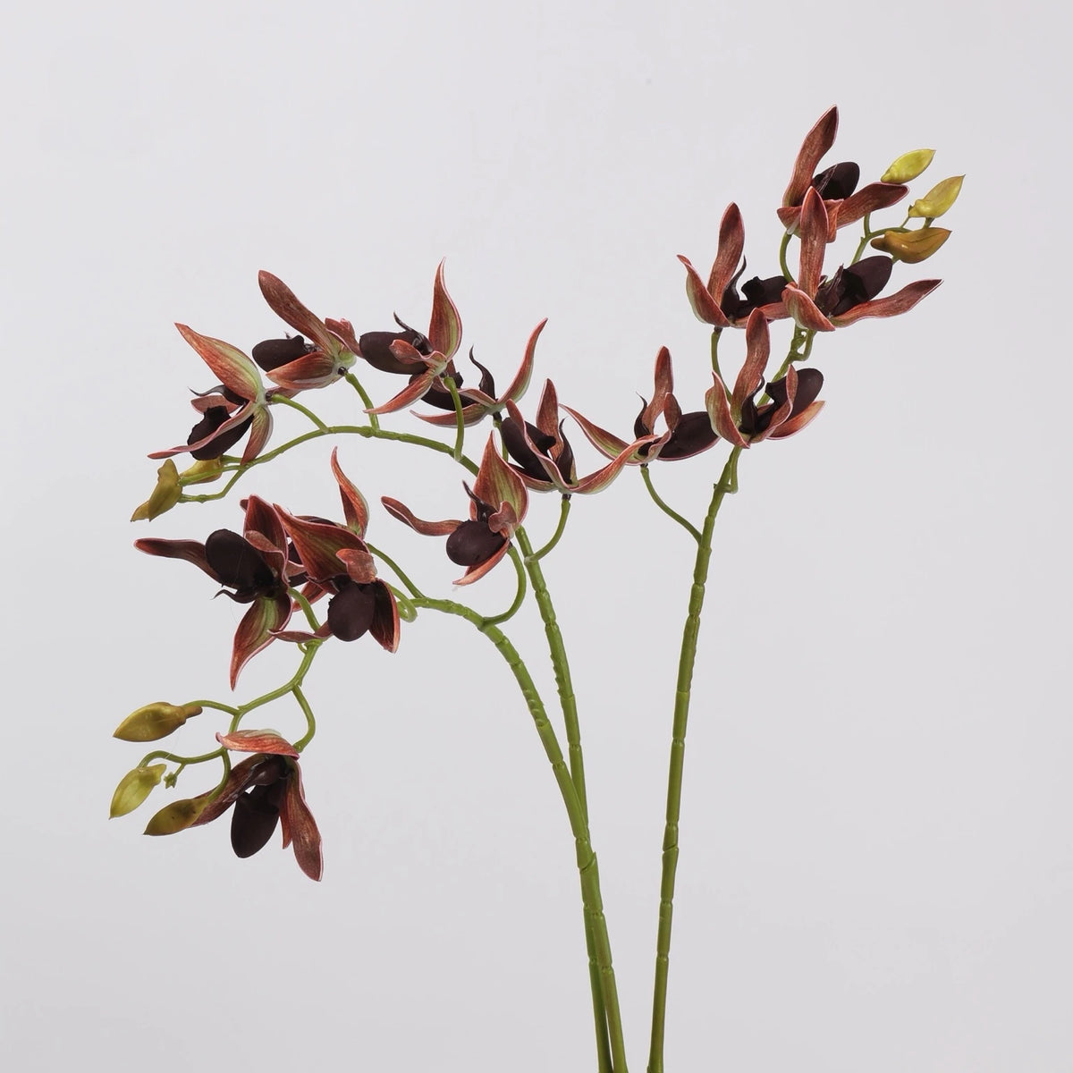 Burgundy faux Paphiopedilum orchid stems