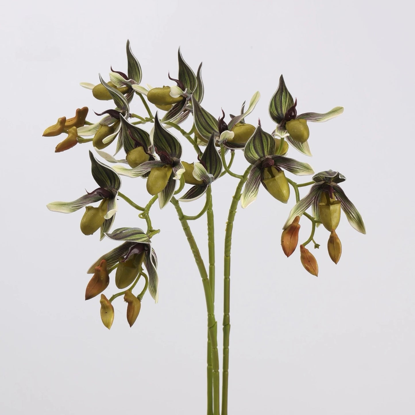 Green faux Paphiopedilum orchid stems
