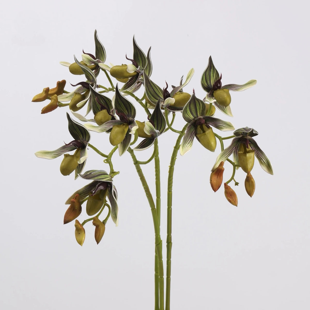 Green faux Paphiopedilum orchid stems